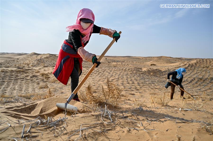 CHINA-INNER MONGOLIA-TENGGER DESERT-DESERTIFICATION CONTROL (CN)