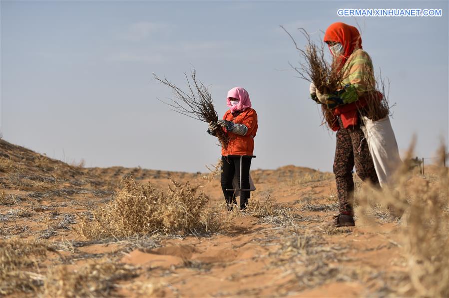 CHINA-INNER MONGOLIA-TENGGER DESERT-DESERTIFICATION CONTROL (CN)