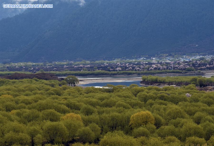 CHINA-TIBET-WETLAND PARK-SCENERY (CN)