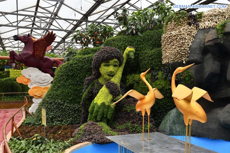 CHINA-SHANDONG-SHOUGUANG-VEGETABLE EXPO (CN)