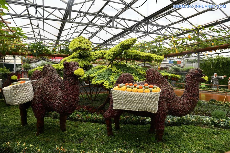 CHINA-SHANDONG-SHOUGUANG-VEGETABLE EXPO (CN)