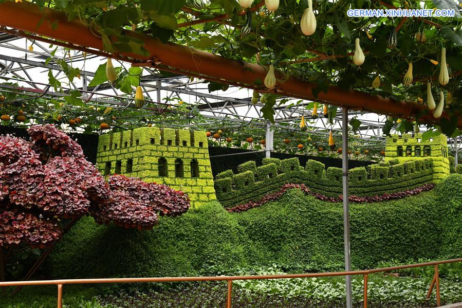 CHINA-SHANDONG-SHOUGUANG-VEGETABLE EXPO (CN)