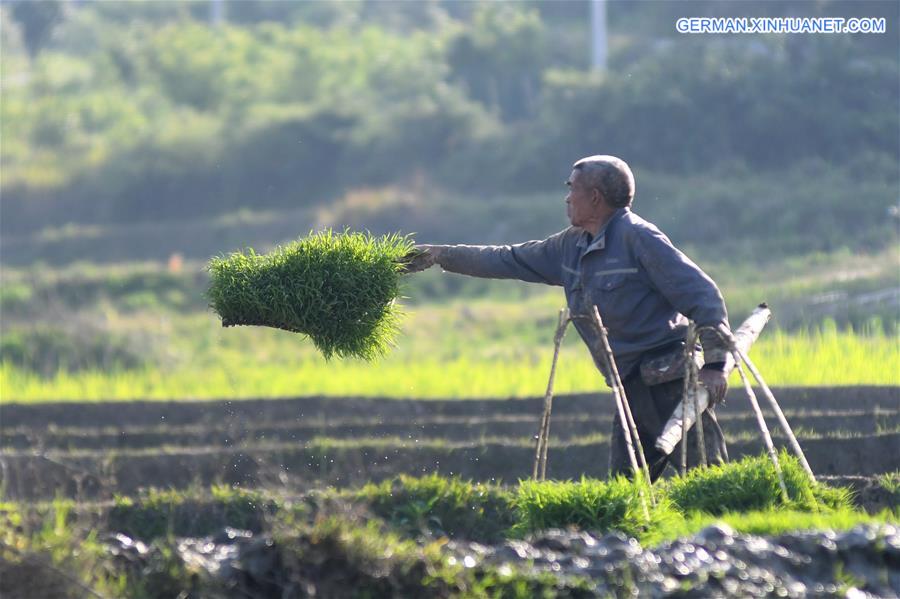 #CHINA-HUNAN-LOUDI-FARMING (CN)