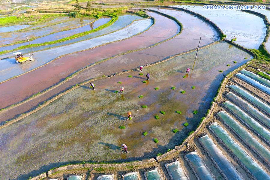 #CHINA-HUNAN-LOUDI-FARMING (CN)