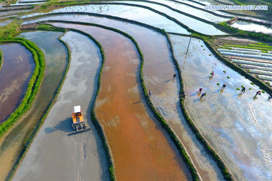 #CHINA-HUNAN-LOUDI-FARMING (CN)