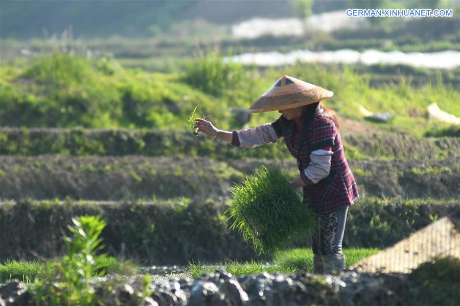 #CHINA-HUNAN-LOUDI-FARMING (CN)