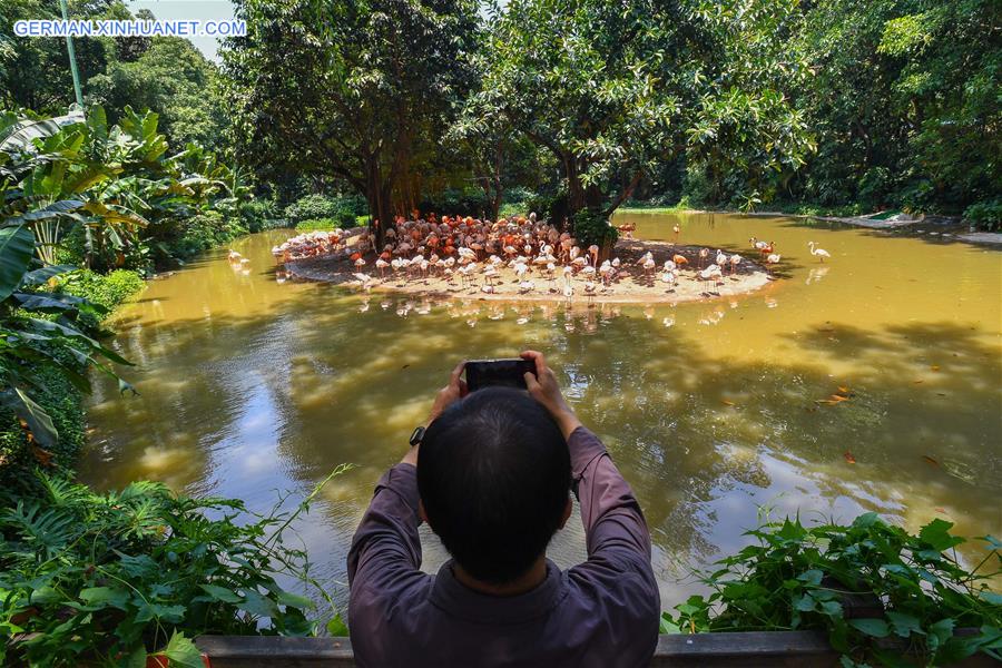 CHINA-GUANGZHOU-CHIMELONG SAFARI PARK-REOPENING (CN)