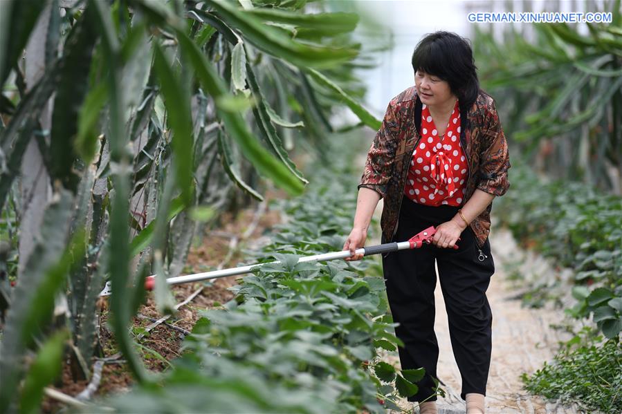 CHINA-ANHUI-AGRITOURISM-DEVELOPMENT (CN)