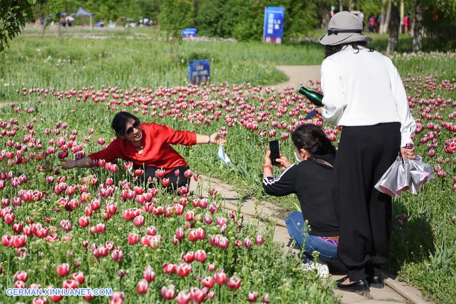 CHINA-XINJIANG-WUJIAQU-TULIPS (CN)