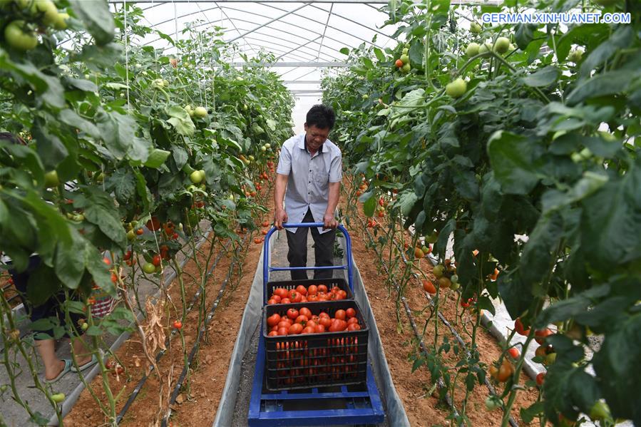 CHINA-GUANGXI-HUANJIANG-RURAL COLLECTIVE ECONOMY-DEVELOPMENT (CN)