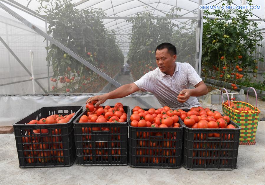 CHINA-GUANGXI-HUANJIANG-RURAL COLLECTIVE ECONOMY-DEVELOPMENT (CN)