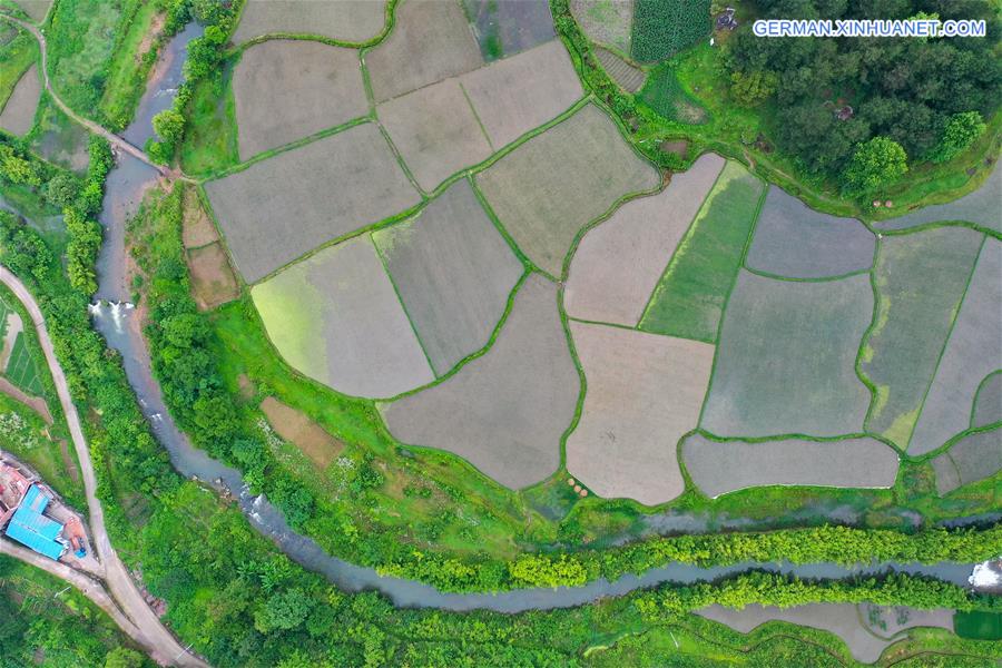 CHINA-GUIZHOU-GUIDING-SUMMER-SCENERY (CN)