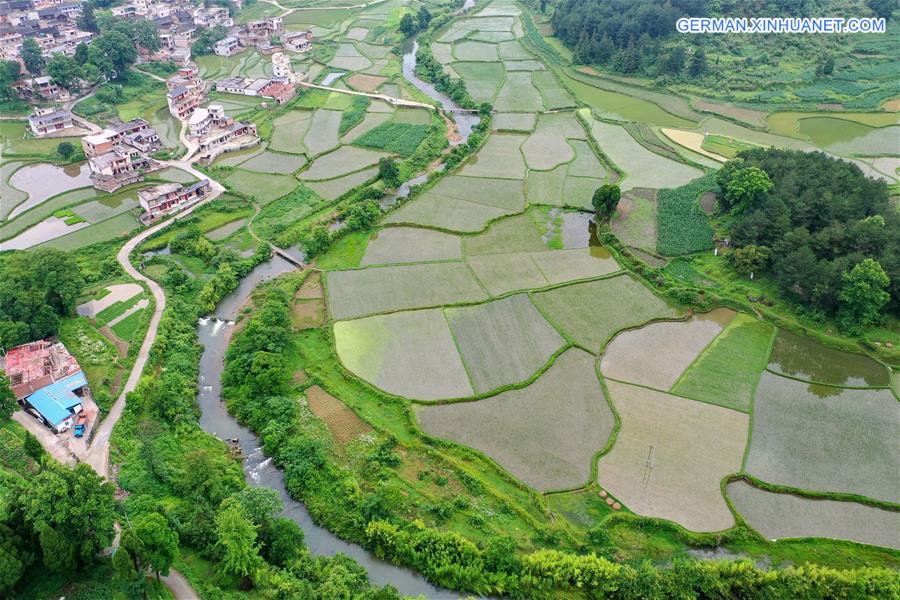 CHINA-GUIZHOU-GUIDING-SUMMER-SCENERY (CN)