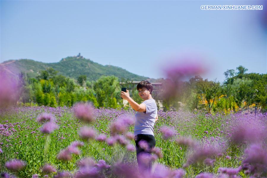 CHINA-HEBEI-HANDAN-SCENERY (CN)