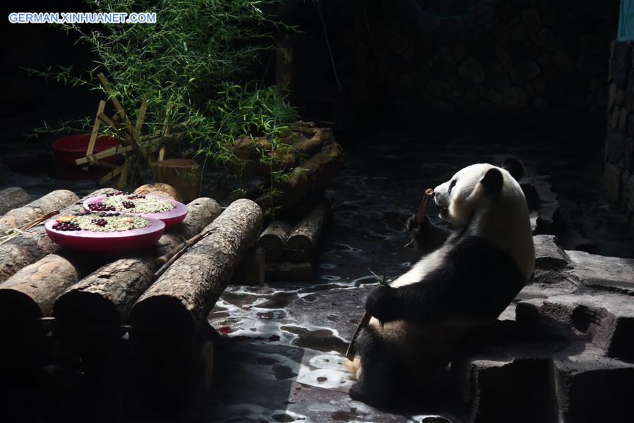 CHINA-SHANDONG-JINAN-GIANT PANDA-SUMMER (CN)