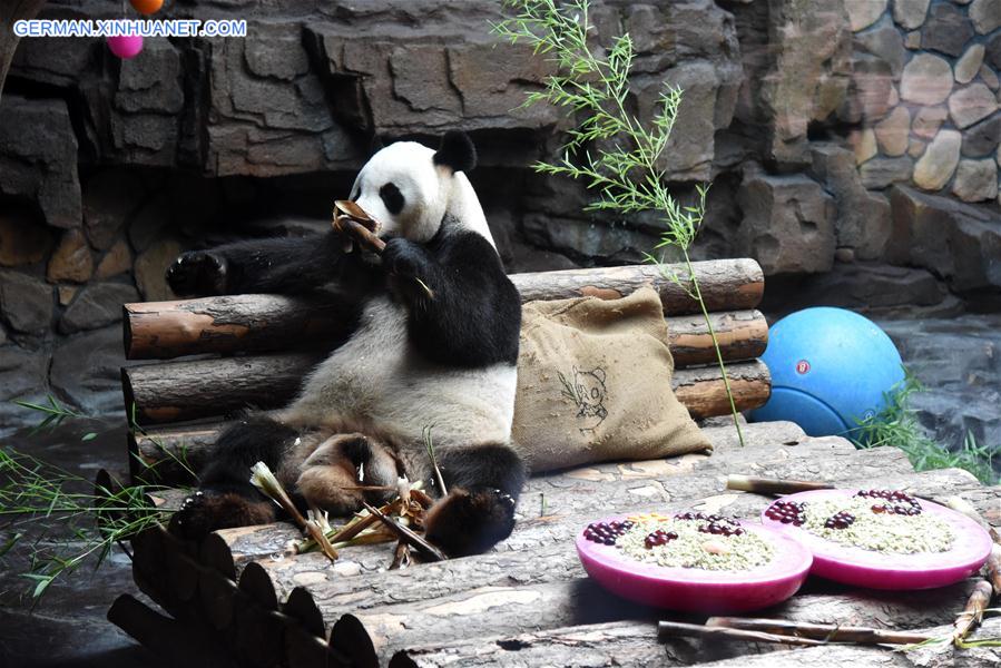 CHINA-SHANDONG-JINAN-GIANT PANDA-SUMMER (CN)