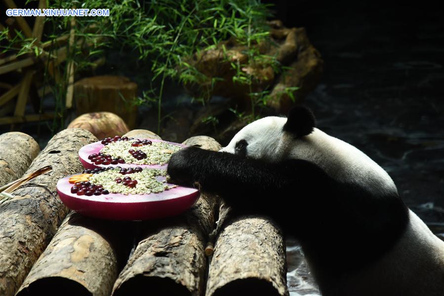 CHINA-SHANDONG-JINAN-GIANT PANDA-SUMMER (CN)