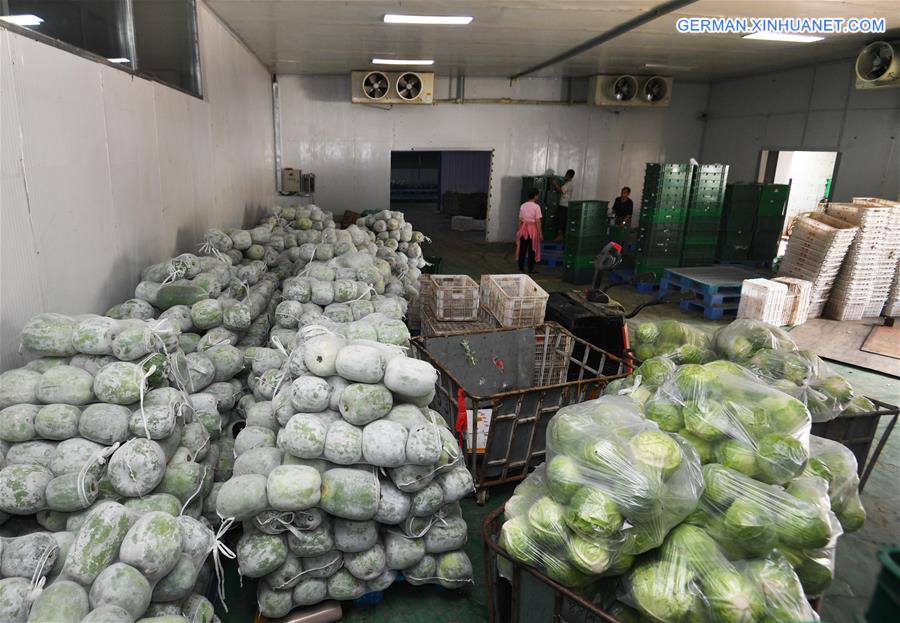 CHINA-HEBEI-GU'AN-VEGETABLE SUPPLY (CN)