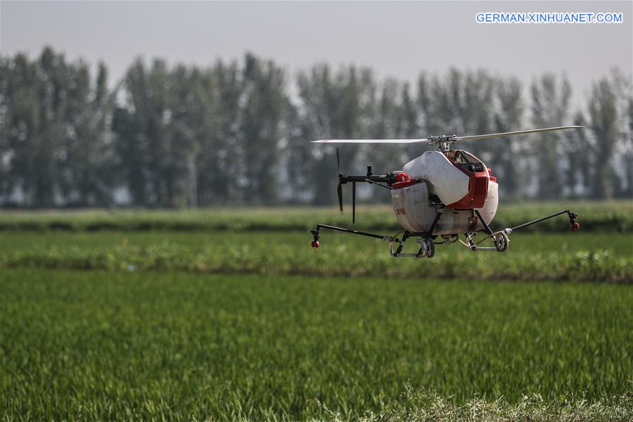 CHINA-LIAONING-AGRICULTURE-DRONE (CN)