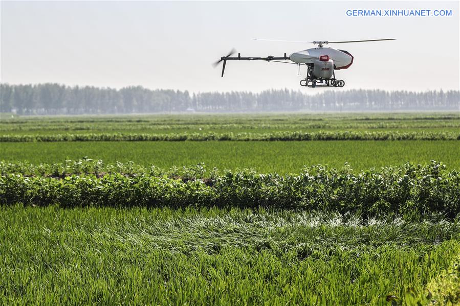 CHINA-LIAONING-AGRICULTURE-DRONE (CN)