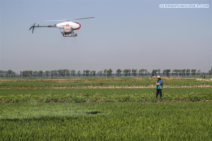CHINA-LIAONING-AGRICULTURE-DRONE (CN)