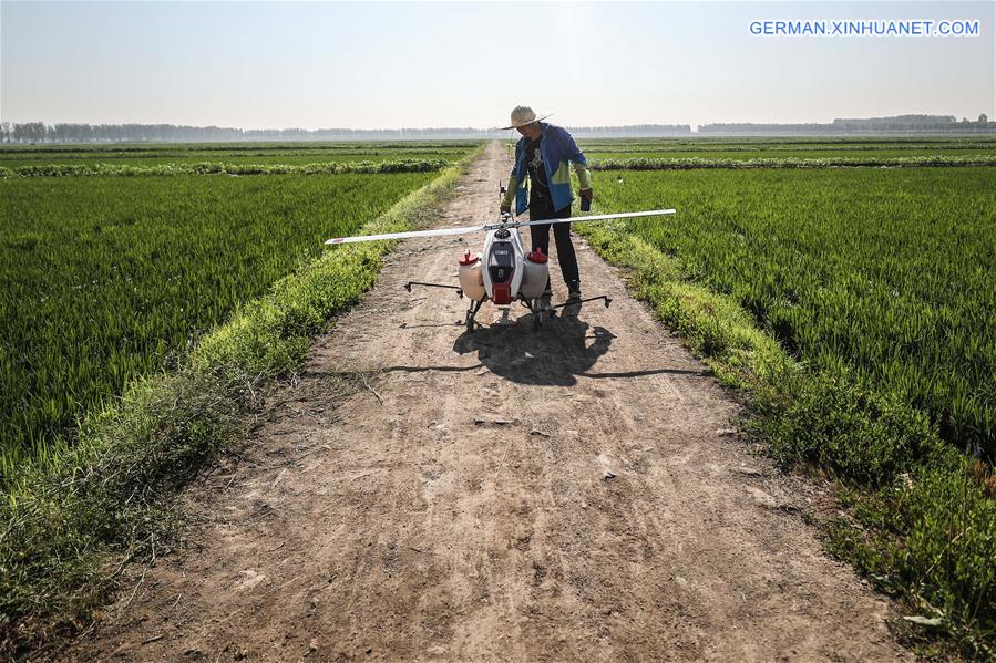 CHINA-LIAONING-AGRICULTURE-DRONE (CN)