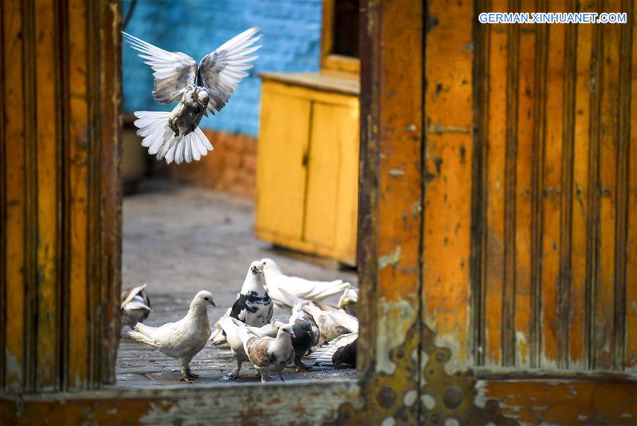 CHINA-XINJIANG-YINING-HISTORICAL STREET (CN)