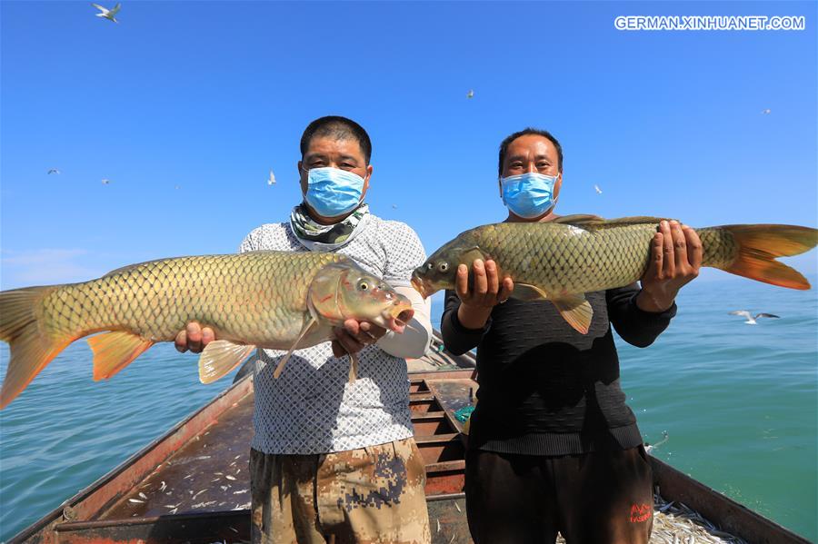 CHINA-XINJIANG-BOSTAN LAKE-FISHING(CN)