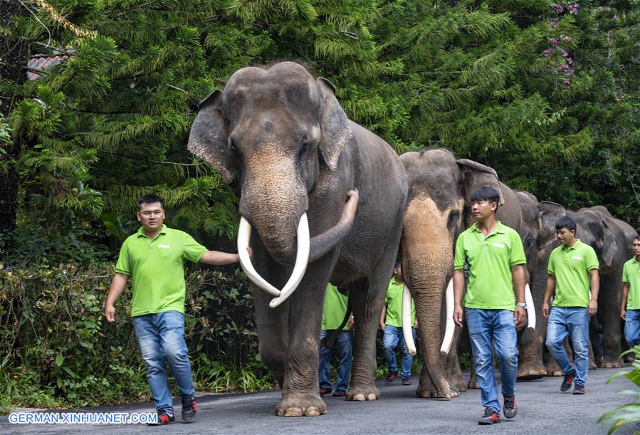 CHINA-YUNNAN-XISHUANGBANNA-WORLD ELEPHANT DAY-CELEBRATIONS (CN)