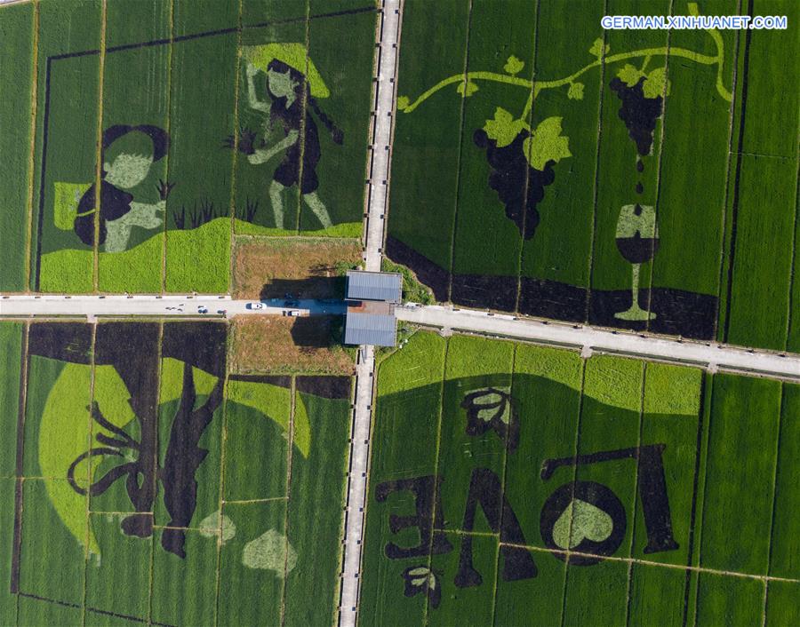 CHINA-ZHEJIANG-FUYANG-VILLAGE-RICE PADDY ART (CN)
