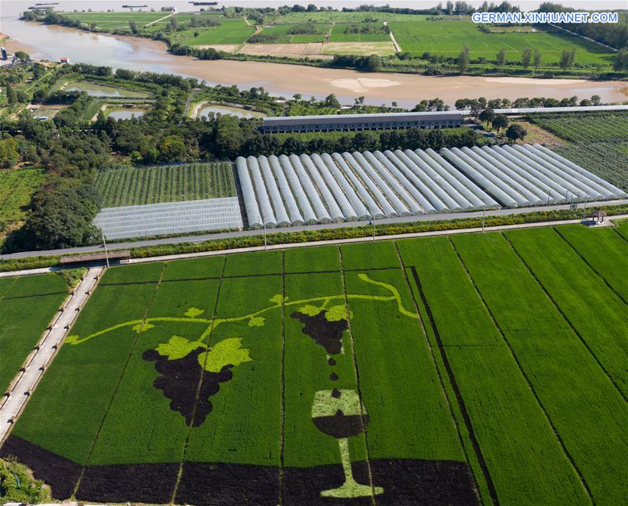 CHINA-ZHEJIANG-FUYANG-VILLAGE-RICE PADDY ART (CN)