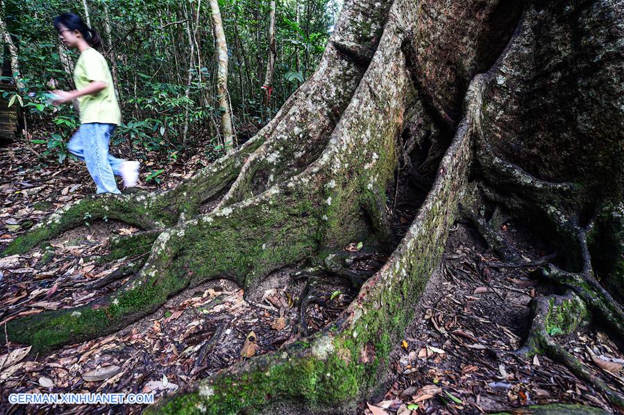 CHINA-HAINAN-TROPICAL RAINFOREST-SCENERY (CN)