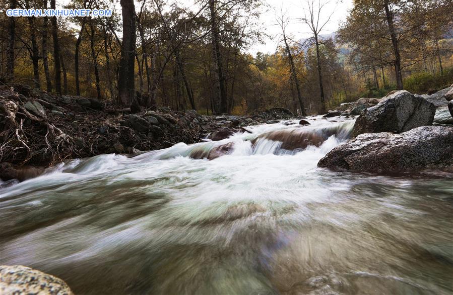 CHINA-QINGHAI-HAIDONG-FOREST FARM-AUTUMN SCENERY