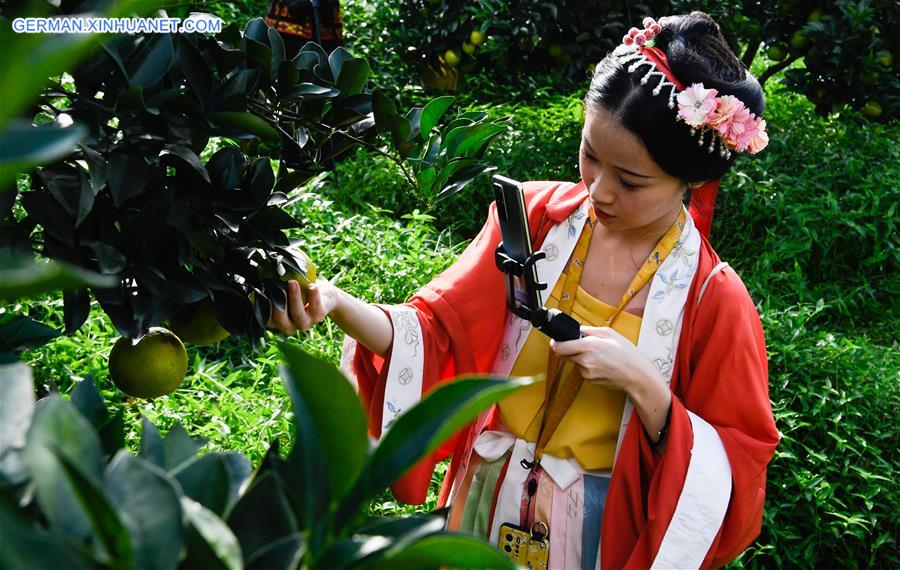 CHINA-HAINAN-QIONGZHONG-GREEN ORANGE-MARKET SEASON