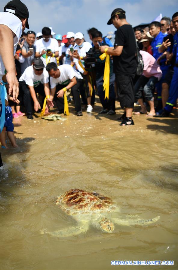 CHINA-HAINAN-SEA TURTLE-RELEASE (CN)