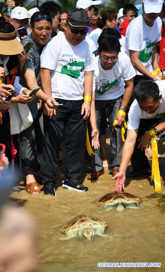 CHINA-HAINAN-SEA TURTLE-RELEASE (CN)