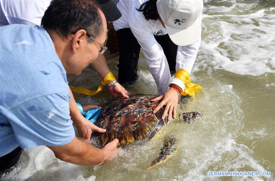 CHINA-HAINAN-SEA TURTLE-RELEASE (CN)