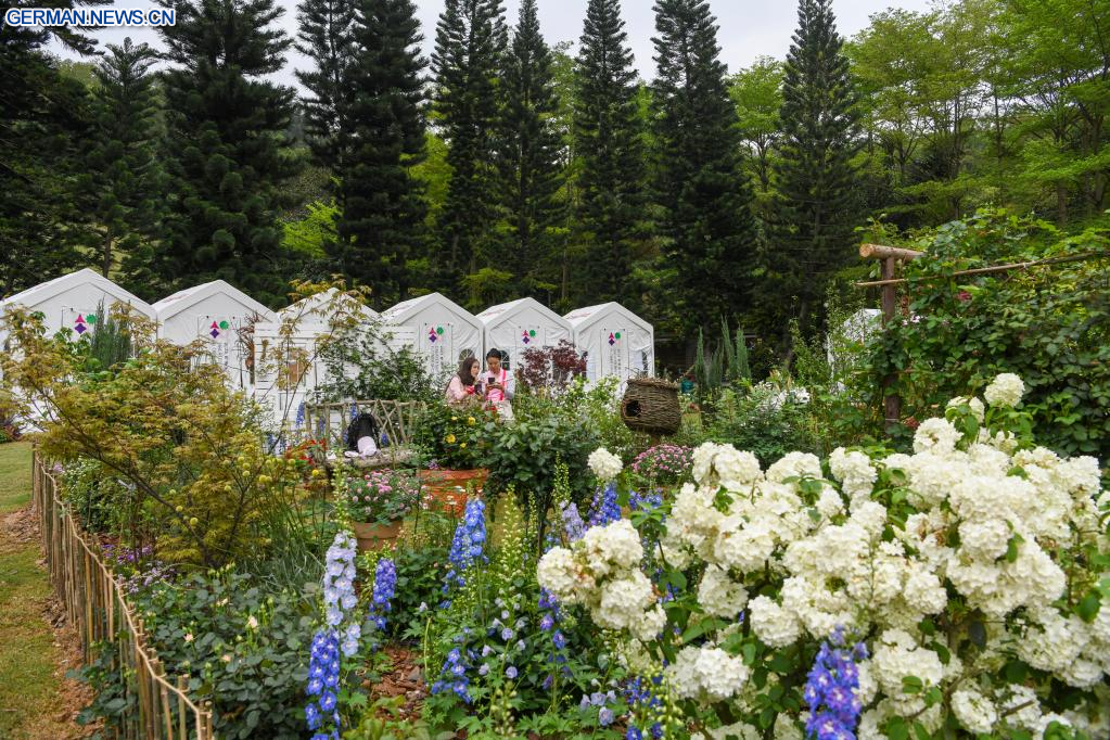 “Greater Bay Area Flower Show Attracts Visitors and Exhibitors from Around the World”