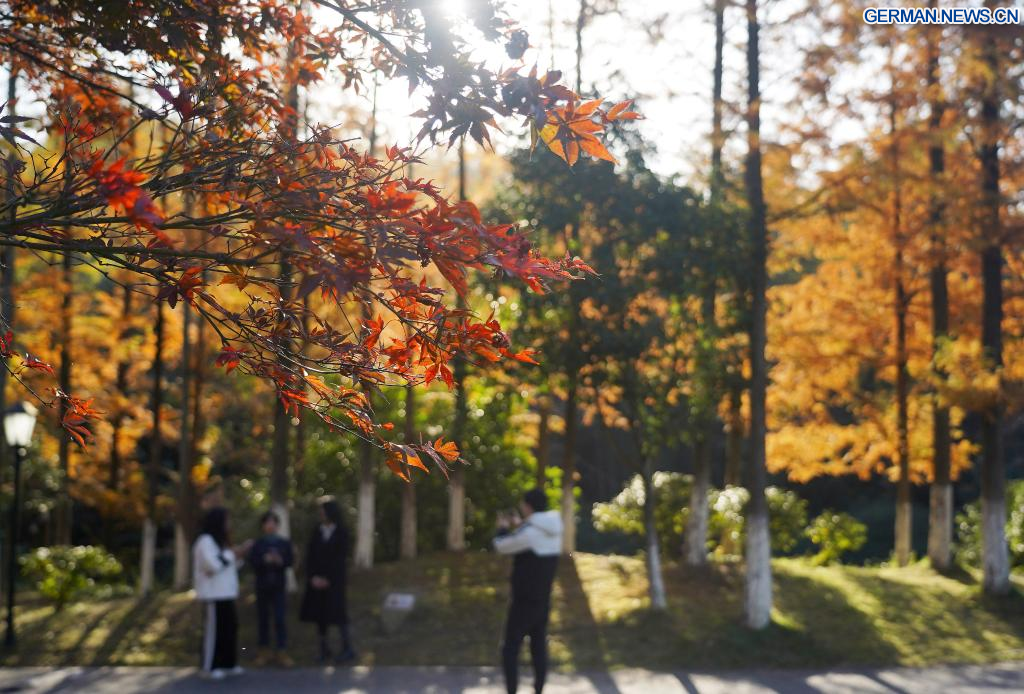 Landschaft Des Nationalen Meiling Waldparks In Nanchang Xinhua