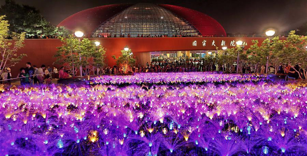 10.860 schilffömige Lichter außerhalb des Nationalen Zentrums für Darstellende Künste erleuchtet