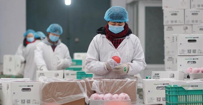 Unternehmen in China nehmen Produktion unter strengen Präventionsmaßnahmen wieder auf