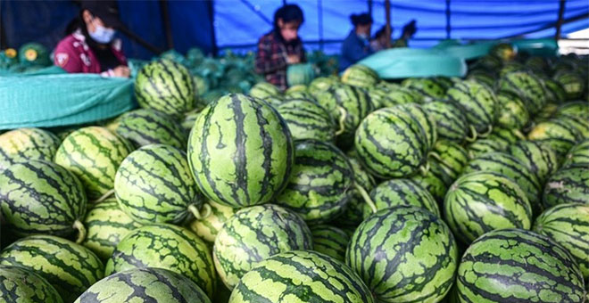 Chinas Außenhandel mit Agrarprodukten steigt im laufenden Jahr