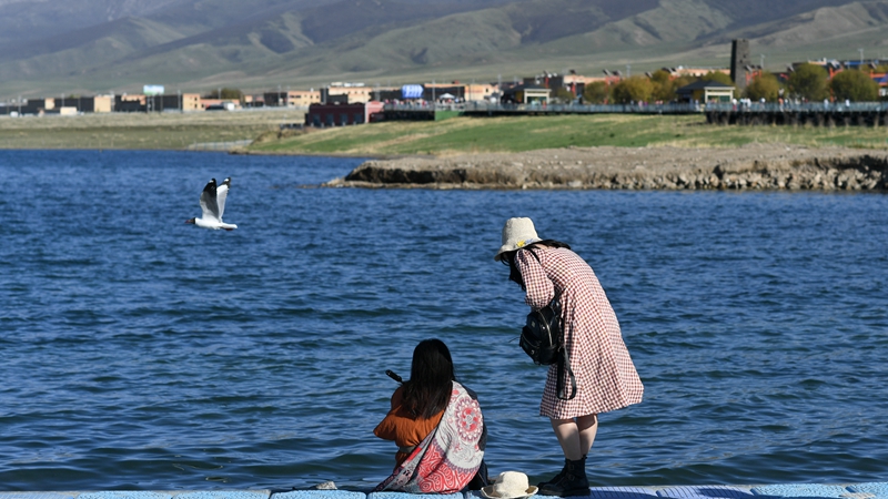 Naturschutzbemühungen helfen bei der Wiederherstellung der Ökologie des Qinghai-Sees