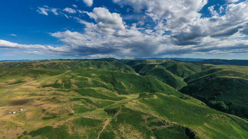 Landschaft der Sommerweide in Chinas Xinjiang