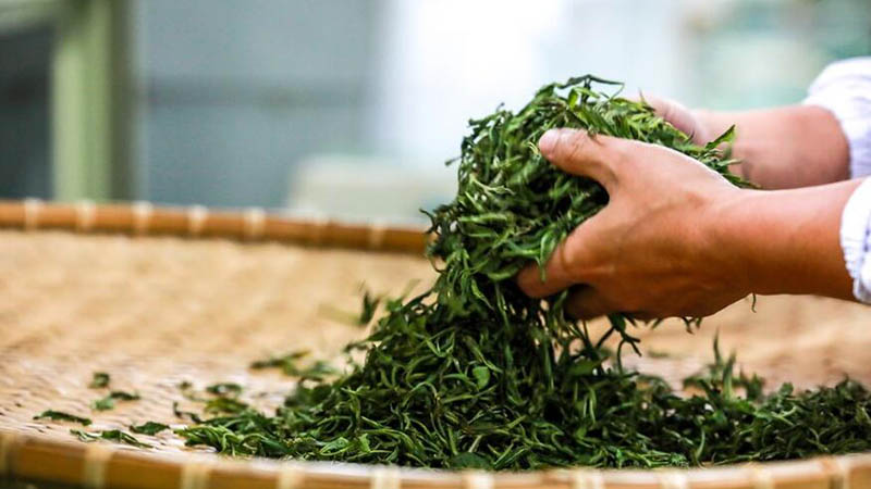 Tee-Exporte der chinesischen Provinz Guizhou steigen