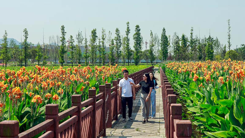 Wasserqualität und Ökosystem des Flusses Liangtan in Chongqing verbessert