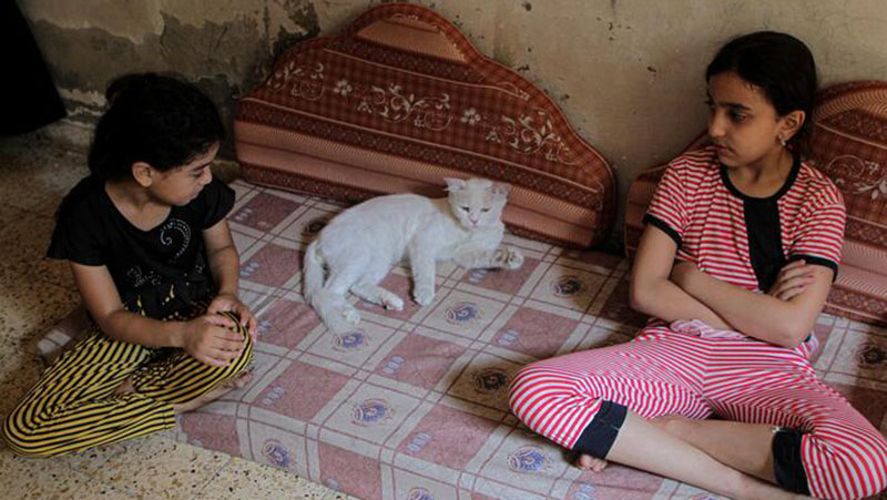 Familie kümmert sich um Straßenkatzen in Gaza-Stadt