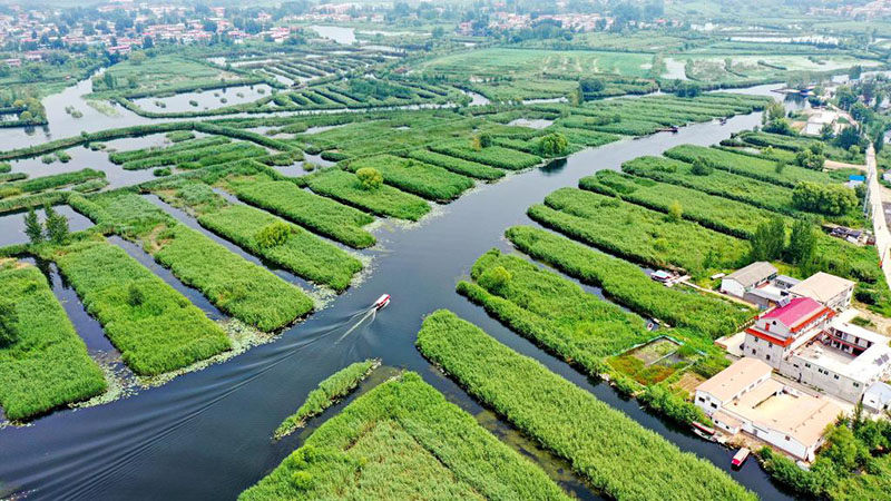 Wasserqualität des Sees Baiyangdian mit effektiver Verwaltung des Xiongan New Area viel verbessert