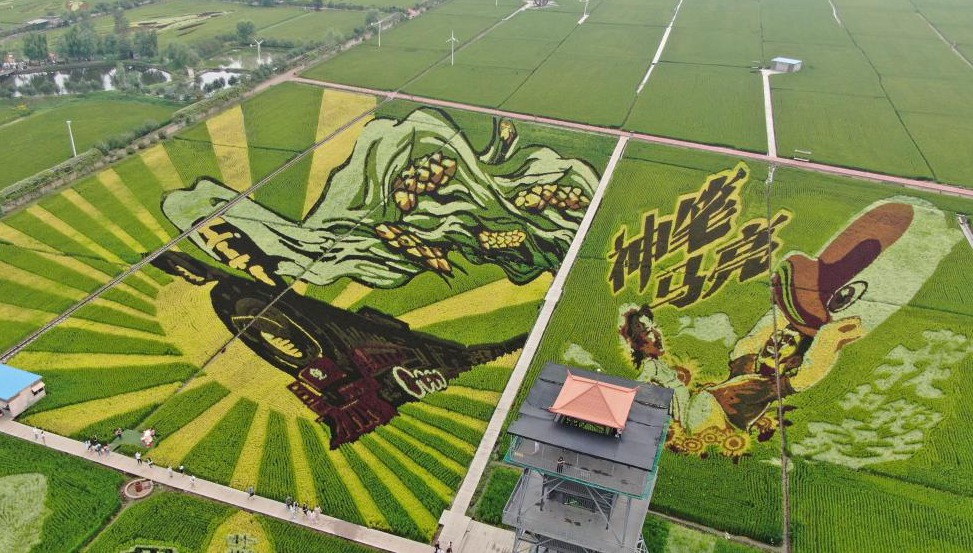Reisfeldkunst in Shenyang zieht Besucher an