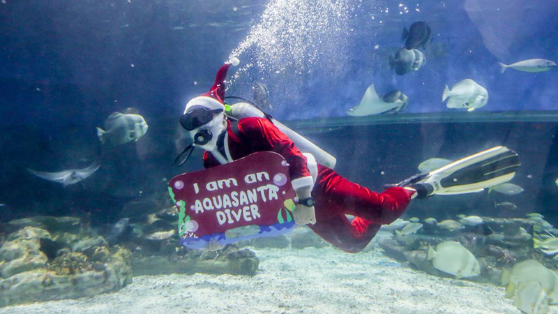 Santa Claus schwimmt mit Meerestieren im Ozeanarium in Manila